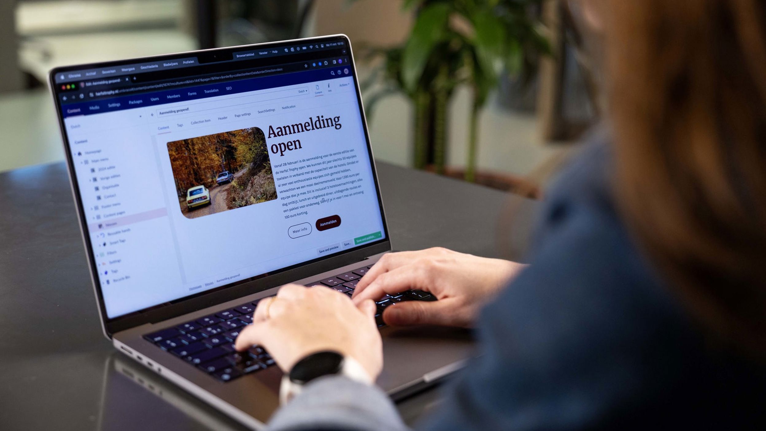 Umbraco 13 Preview 04 (1)