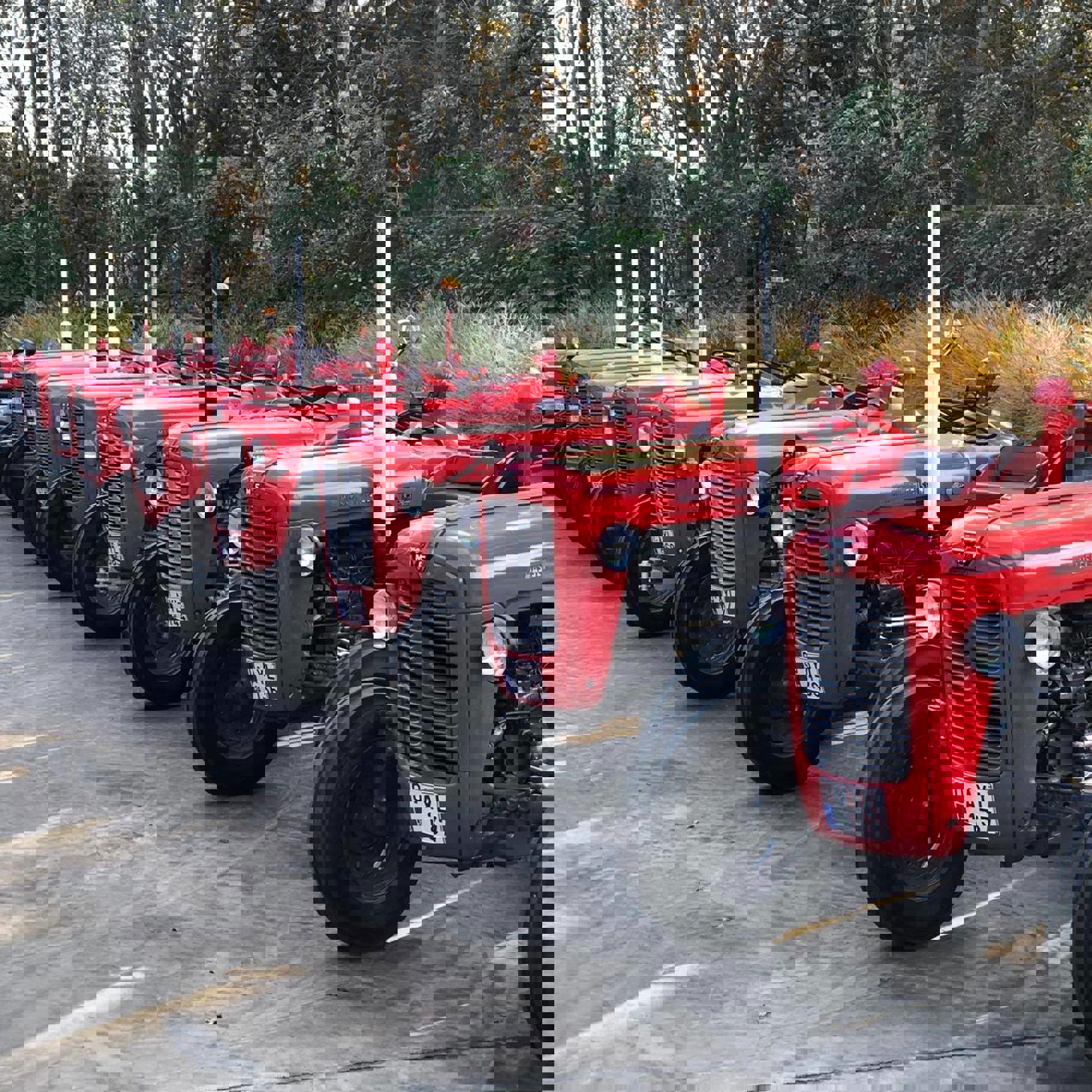 46695912 1567197506759052 9042568705560543232 N