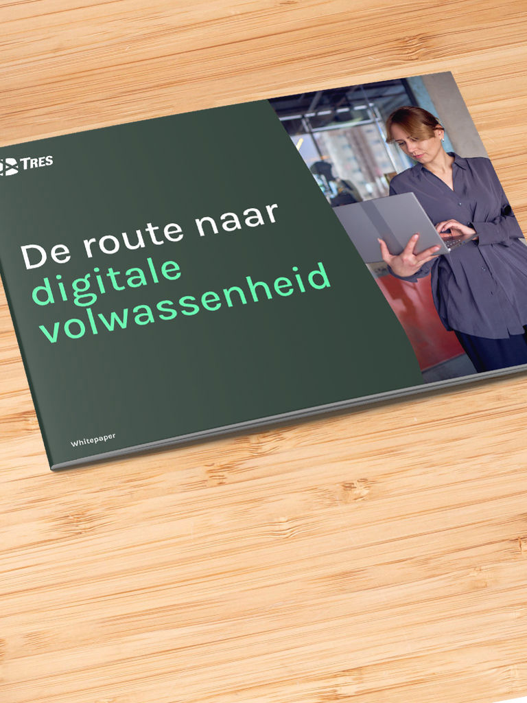 De Route Naar Digitale Volwassenheid Card